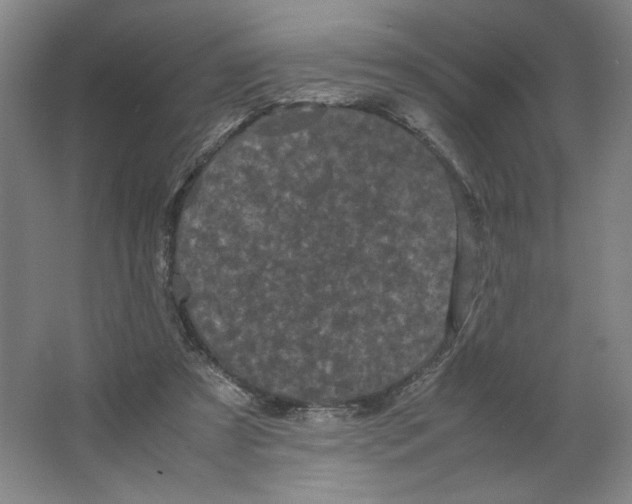 X0000063440305200602101629