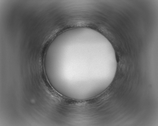 X0000063440306200602101629