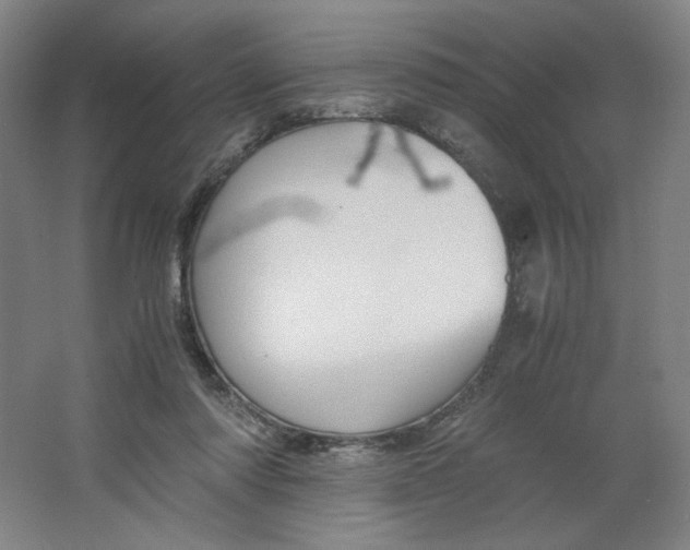 X0000063440310200602101629