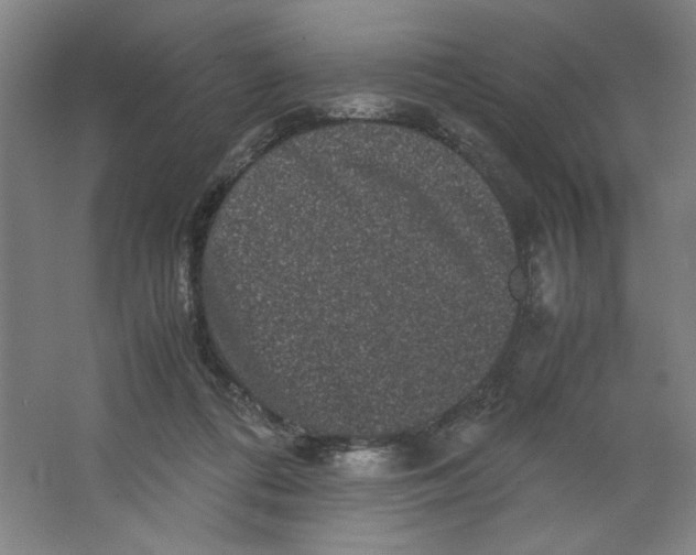 X0000063440312200602101629