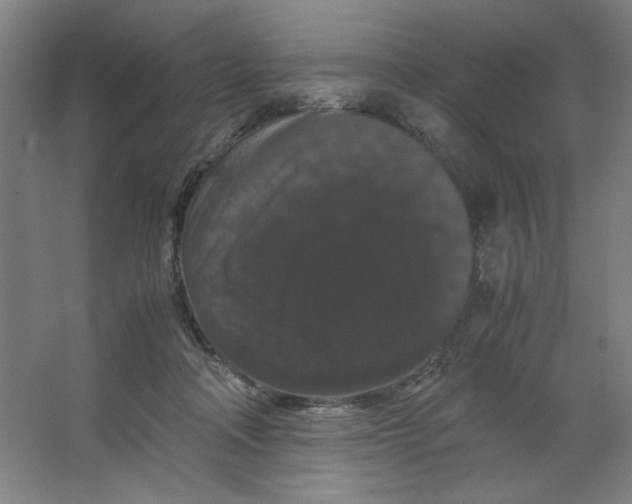X0000063440314200602101629