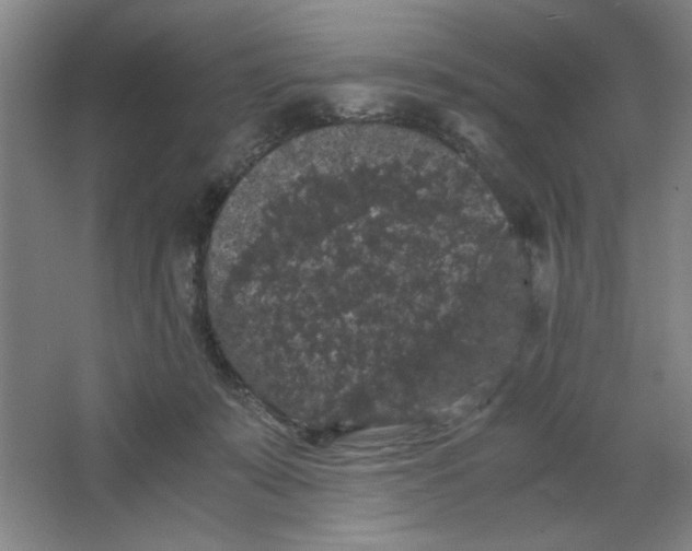 X0000063440319200602101629