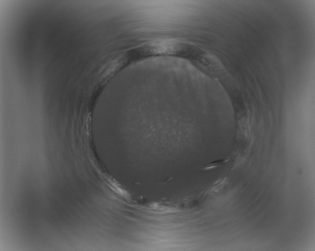 X0000063440325200602101629