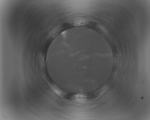 X0000063440327200602101629
