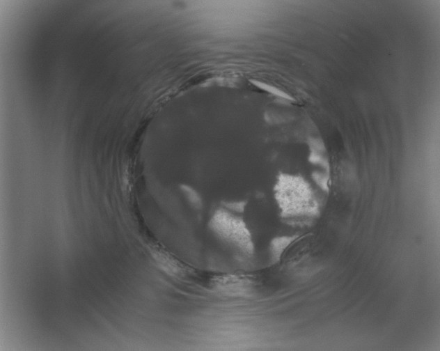 X0000063440331200602101629