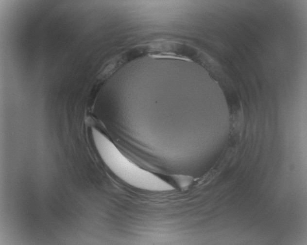 X0000063440333200602101629