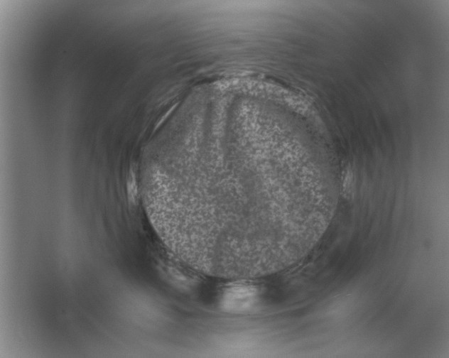X0000063440335200602101629
