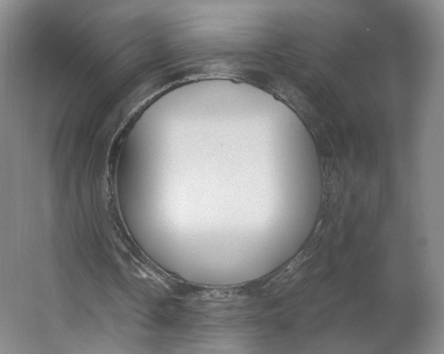 X0000063440338200602101628