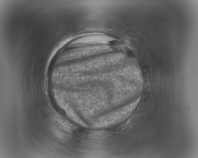 X0000063440342200602101628