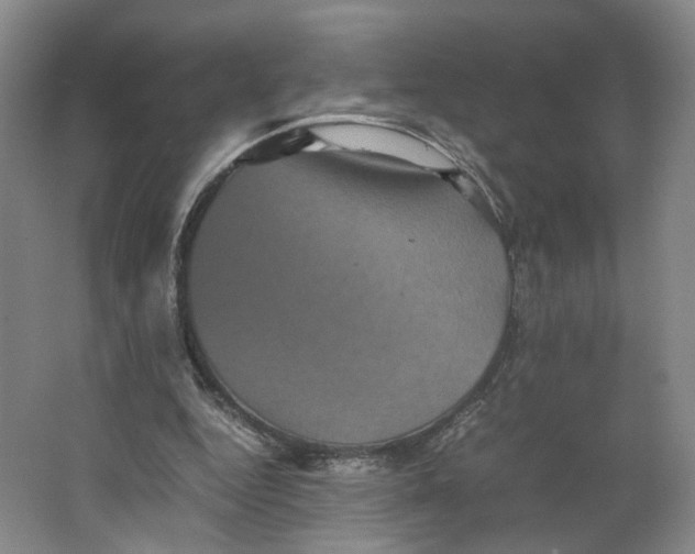 X0000063440344200602101628