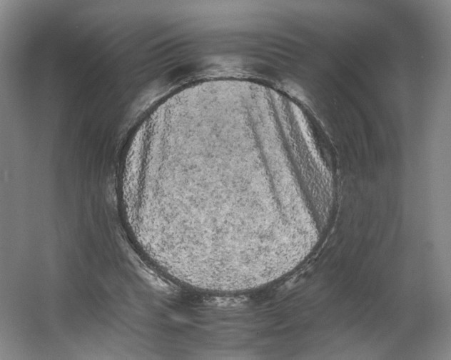 X0000063440345200602101628