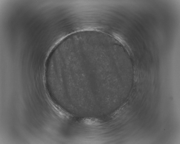 X0000063440346200602101628