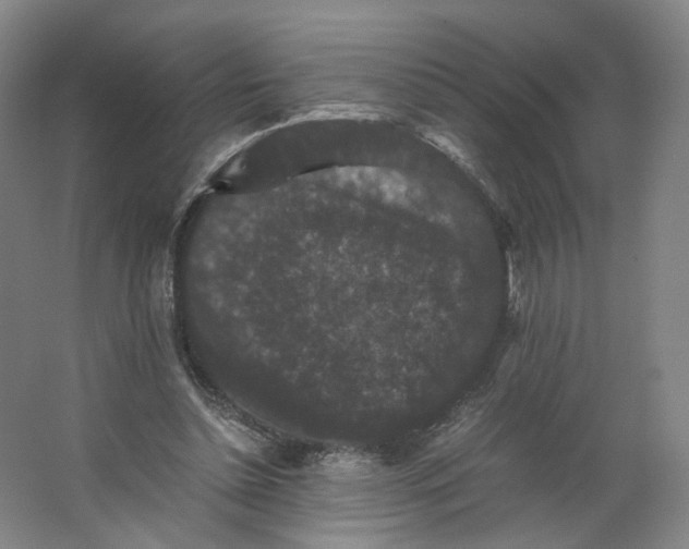 X0000063440348200602101628
