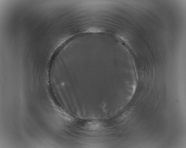 X0000063440351200602101628