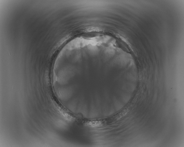 X0000063440353200602101628
