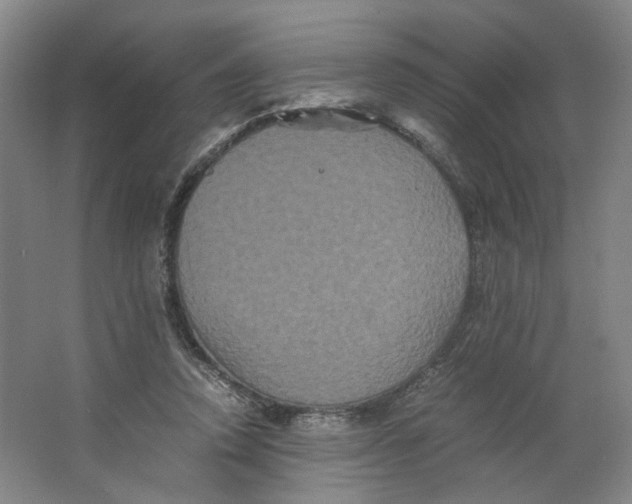 X0000063440354200602101628