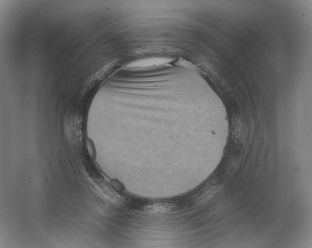 X0000063440356200602101628