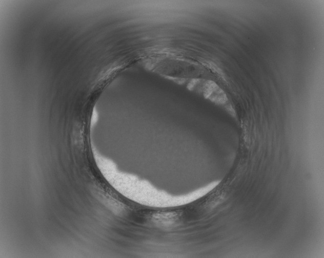 X0000063440357200602101628