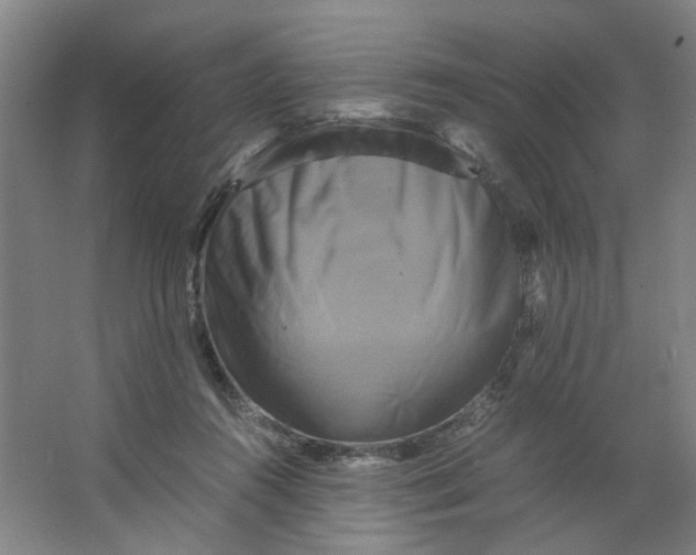 X0000063440360200602101628