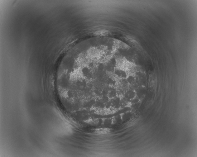X0000063440363200602101628