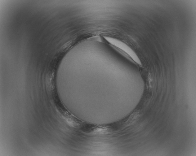 X0000063440364200602101628