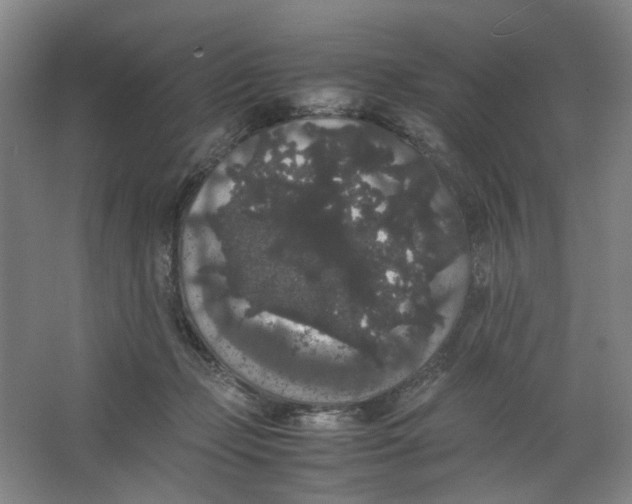 X0000063440365200602101628