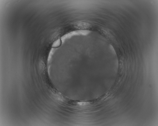 X0000063440371200602101628
