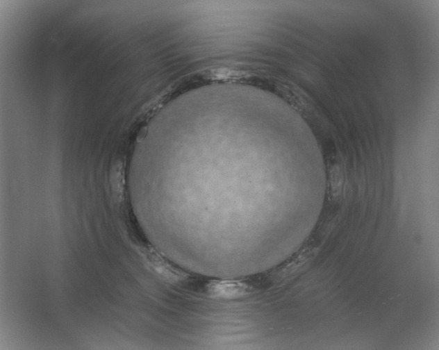 X0000063440372200602101628
