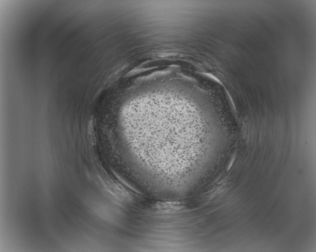 X0000063440378200602101629
