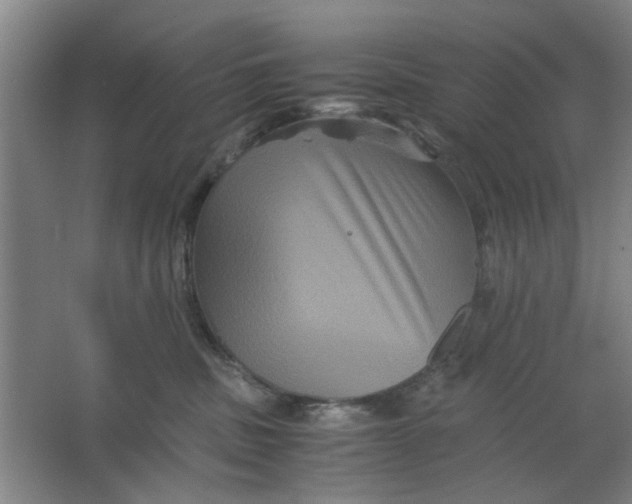 X0000063440379200602101629