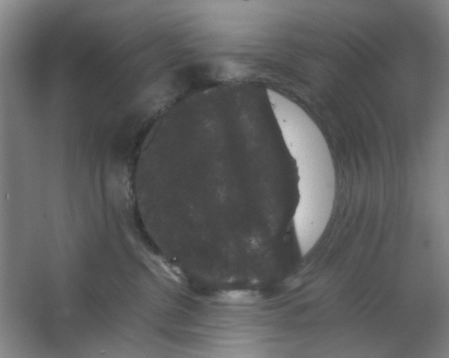 X0000063440380200602101629