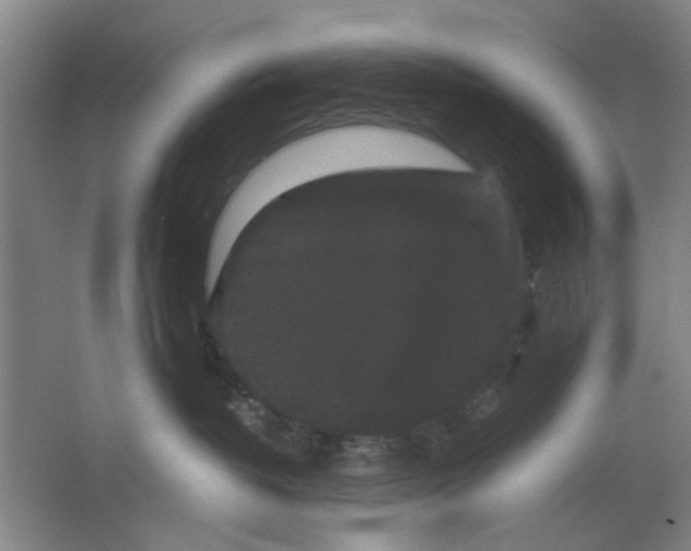 X0000063440382200602101629