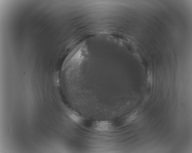 X0000063440383200602101629