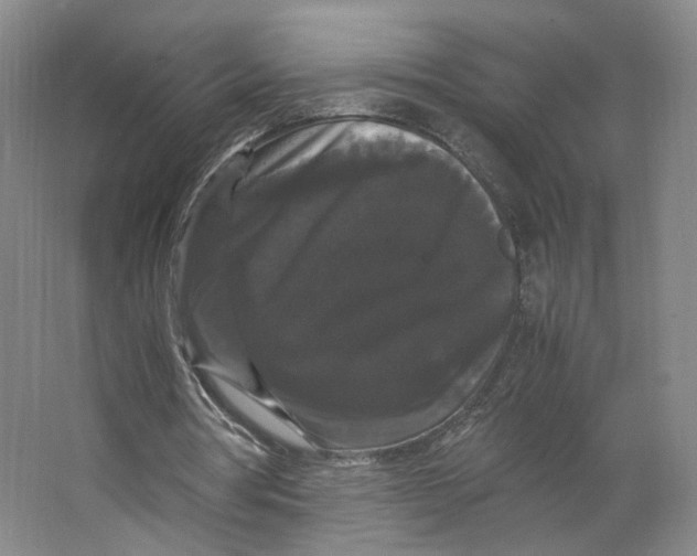 X0000063440386200602101628