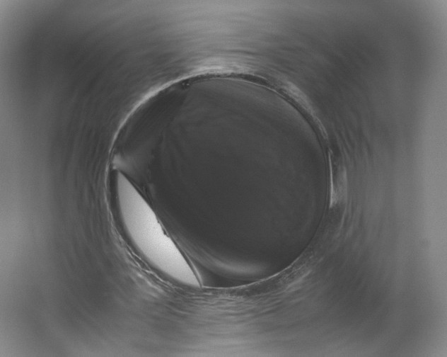 X0000063440387200602101628