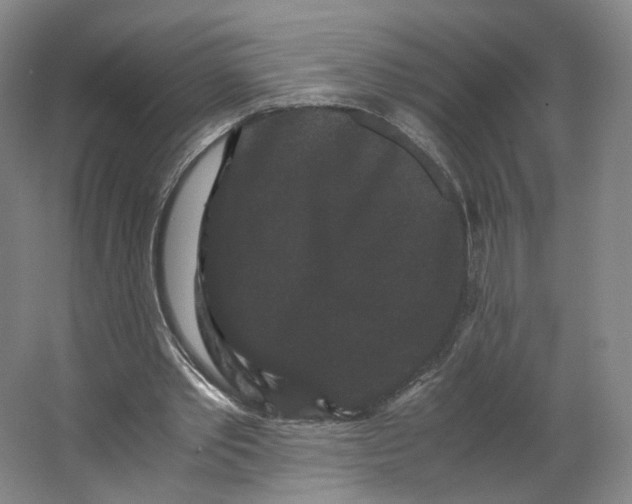 X0000063440389200602101628