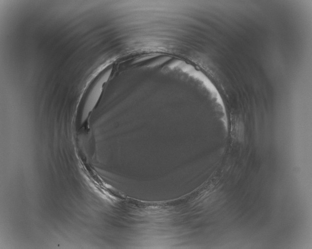 X0000063440390200602101628