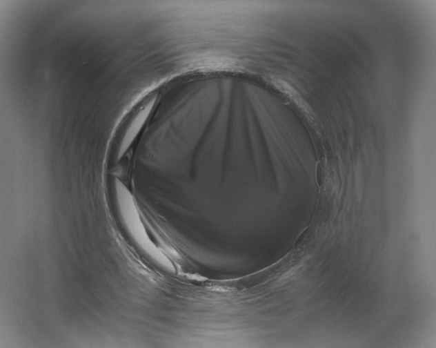 X0000063440391200602101628
