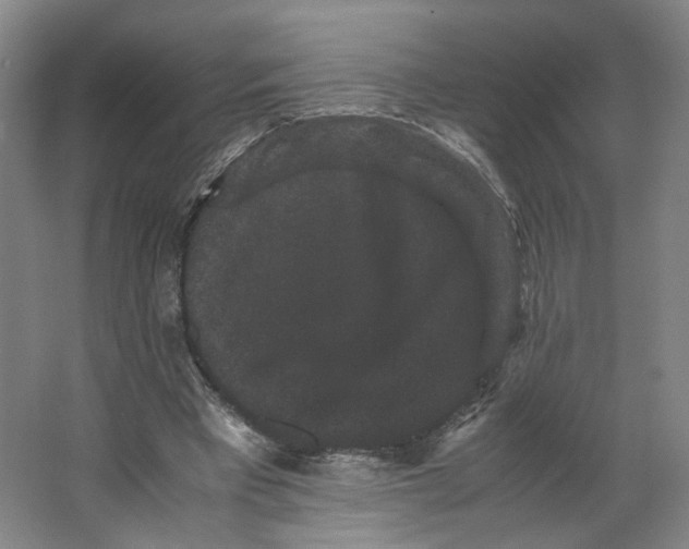 X0000063440393200602101628