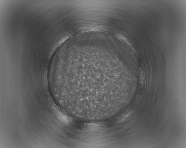 X0000063440394200602101628