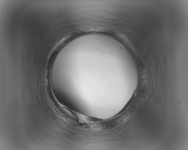 X0000063440395200602101628