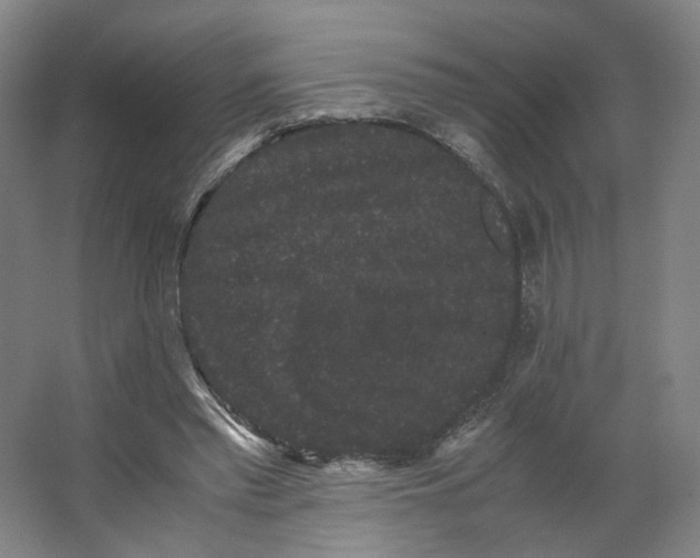 X0000063440397200602101628