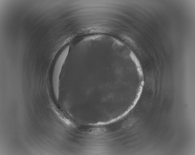 X0000063440398200602101628