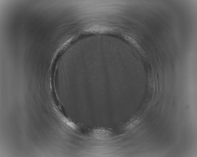 X0000063440399200602101628