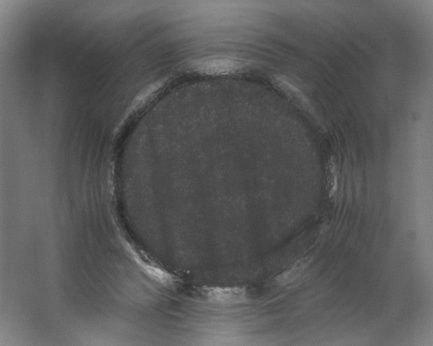 X0000063440400200602101628