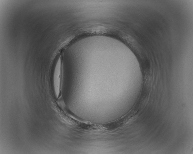 X0000063440403200602101628