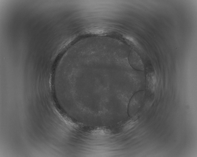 X0000063440404200602101627