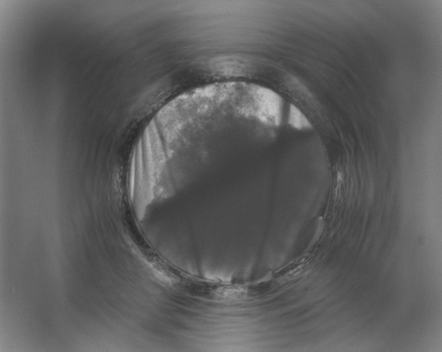X0000063440410200602101627