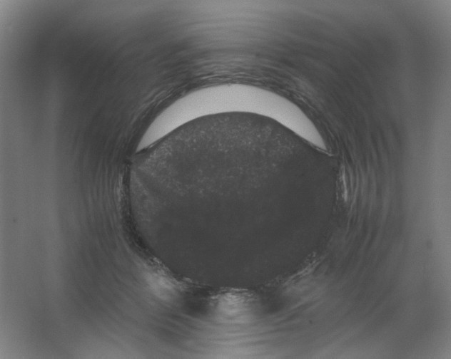 X0000063440412200602101627