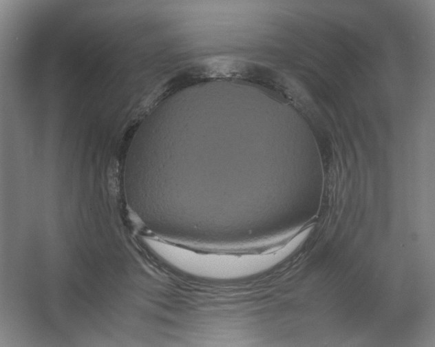 X0000063440413200602101627